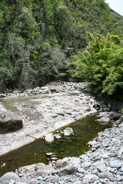 pohiwaiheevalley8.jpg