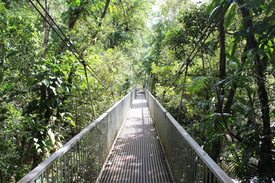 ddaumossmangorge4.jpg