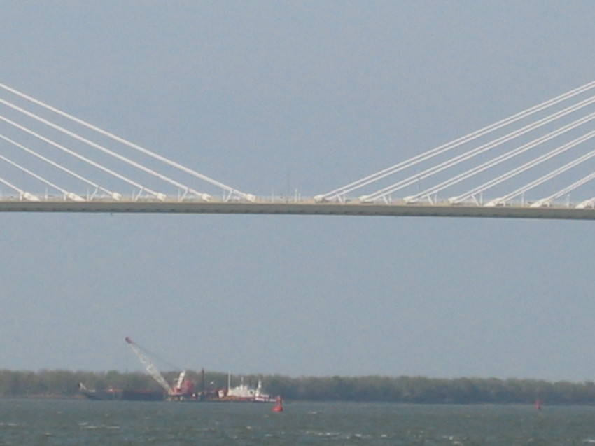 ddscravenel11.jpg