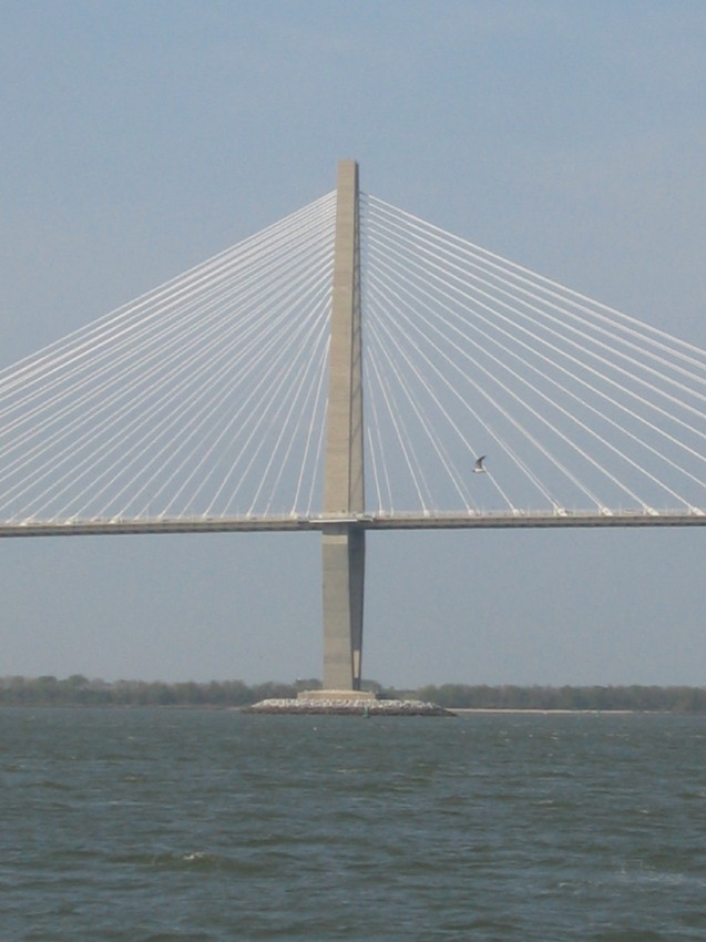 ddscravenel13.jpg